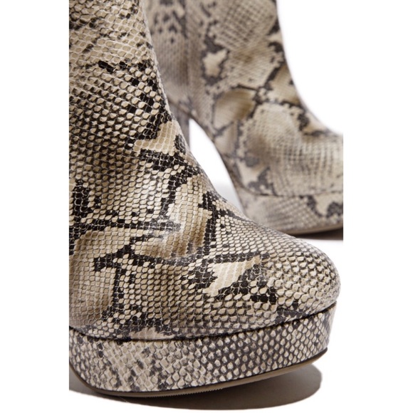 IRIS - SNAKE - Picture 3 of 4